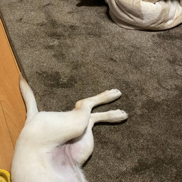 307a9f7b 49c6 450e aadd fdb447165e8a 1615470776540