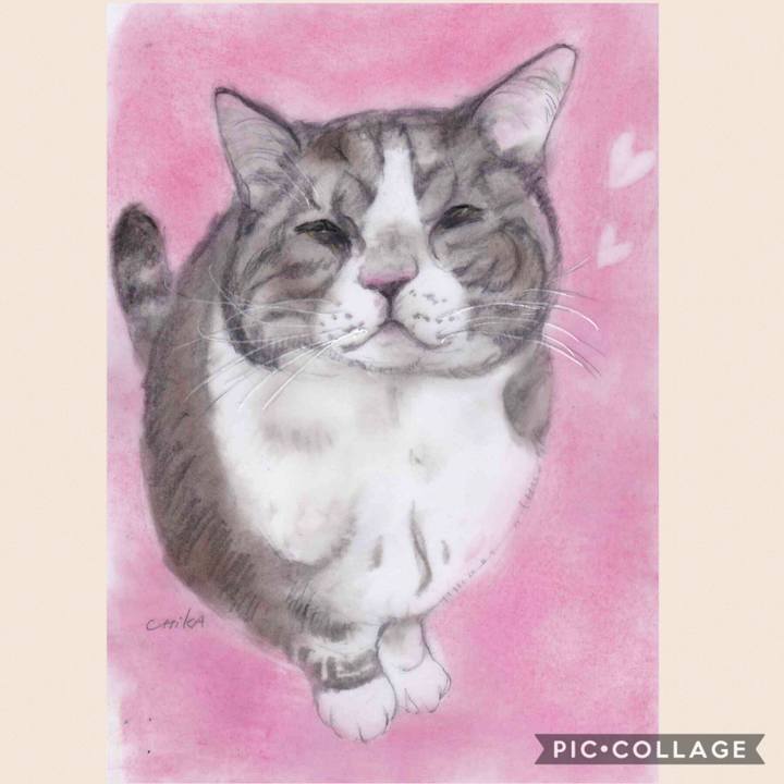 307aaa09 74b1 458a b37c 41a5e3006972 1595953129347