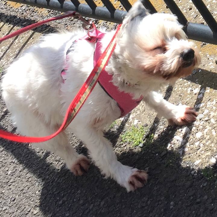 307ab026 b03e 4290 af53 d3b5af7ab37b 1524990594502