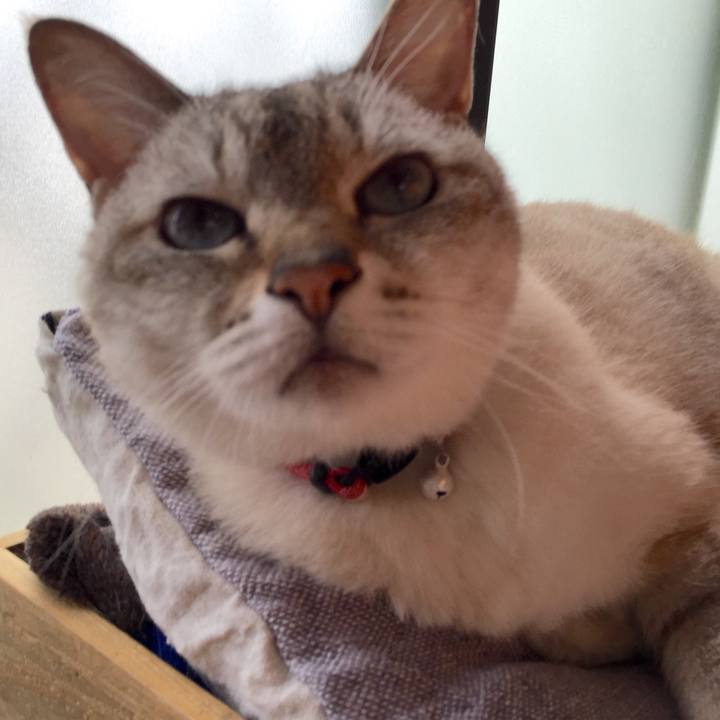 307ab507 76a7 4d98 b661 f7a59db09c7d 1529215461326