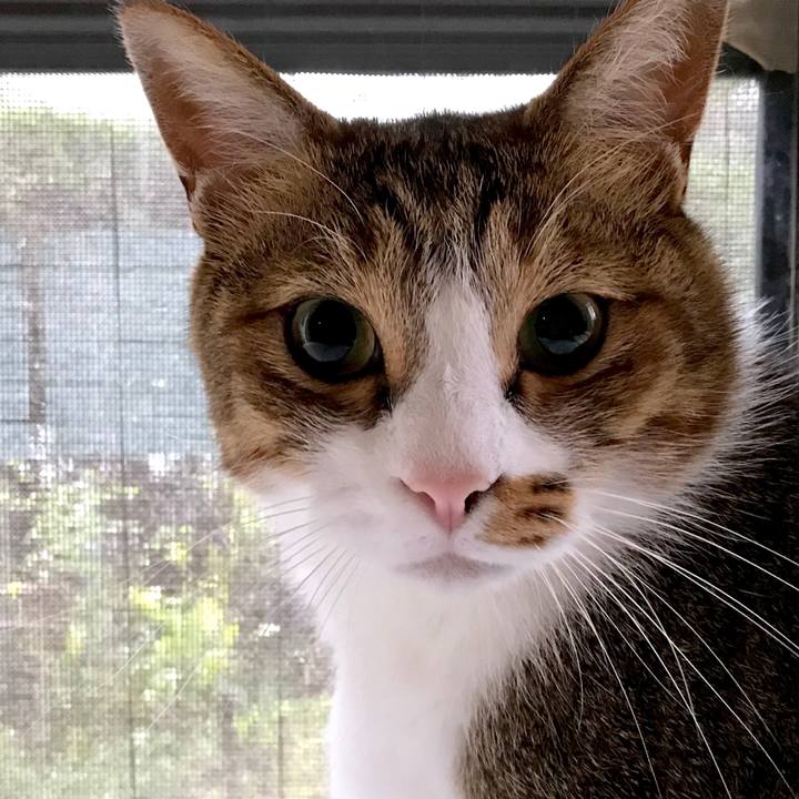 307adead 5660 4ac0 9eed 72f7d6ca2db6 1538725644645