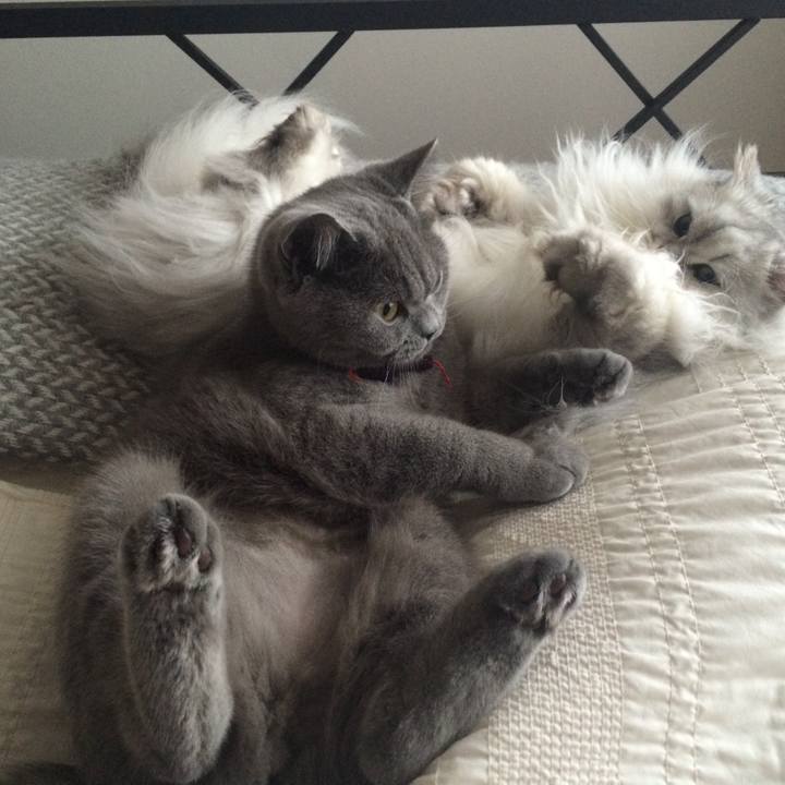 307af947 045b 4d4a 8b7b 8fbe30bf5cee 1570170741597