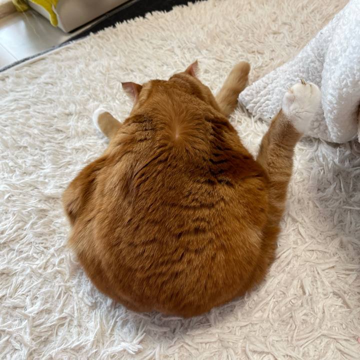 307b0f13 5e21 4066 bfd7 c948b80016c0 1672619614876