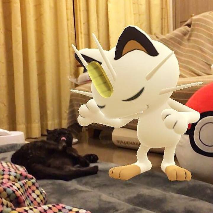 307b42e4 a890 4f97 b122 be1f08cfbff4 1551113346668