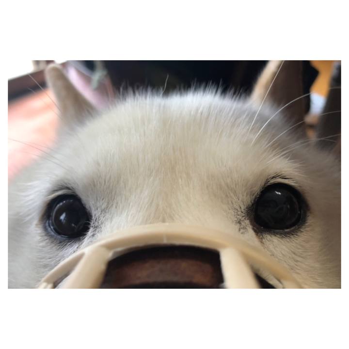 307b4a3e 5a31 497f b13c 7b3488339b8d 1615592385304