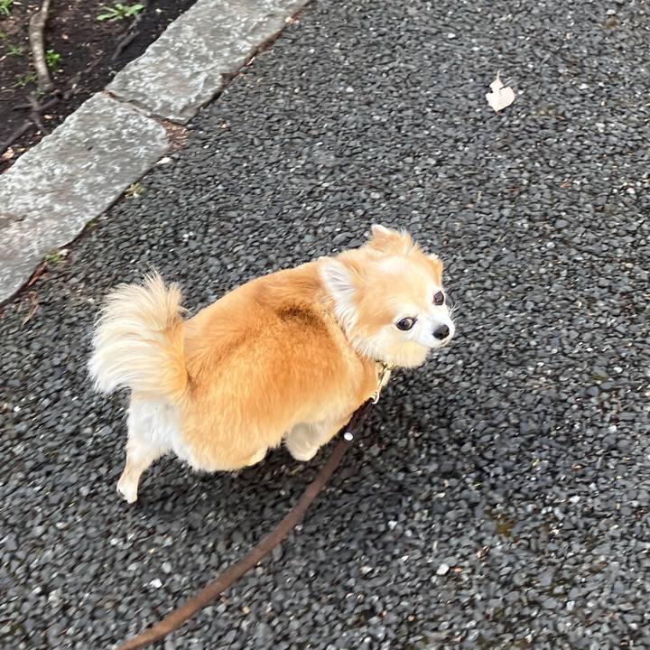 307bd094 38f5 4f1f aeba b13f8de79da5 1772705771966