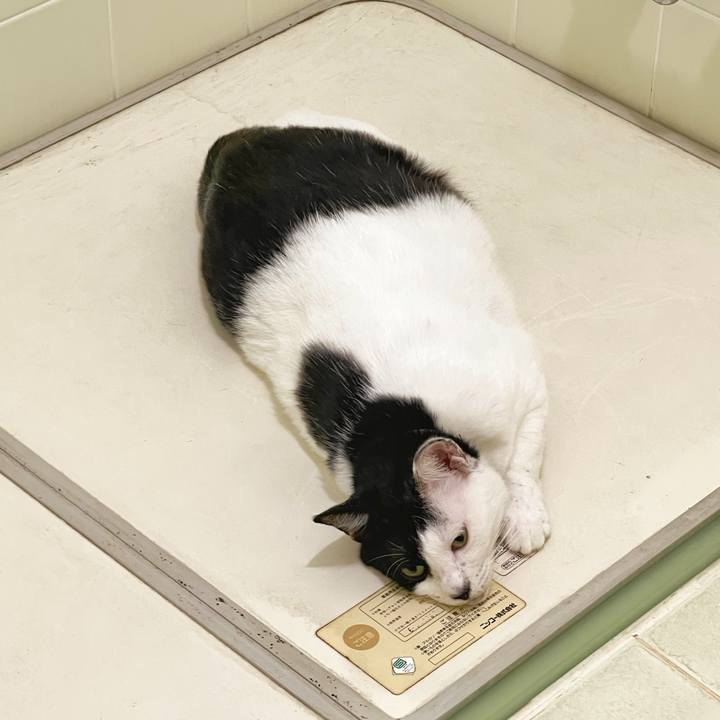 307c598b 8373 42dd bb37 53c58091b581 1758841687922