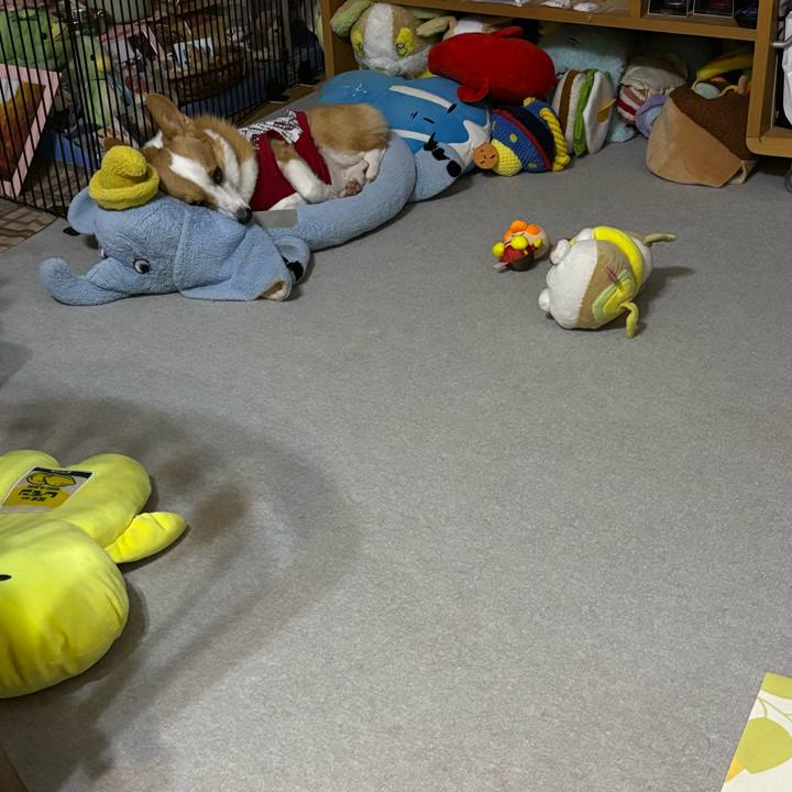 307c5d04 12a6 45e9 b98e 598cde4babcf 1761061353485