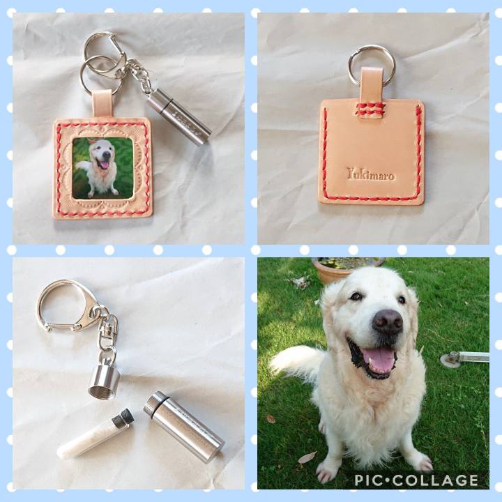 307c7bb6 5ba1 4728 859e 2872dd6221b7 1598238361593