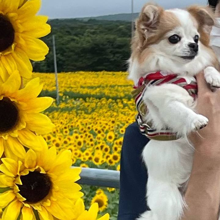 307c96b2 1593 410a bfba 7989384eeca0 1660360233054