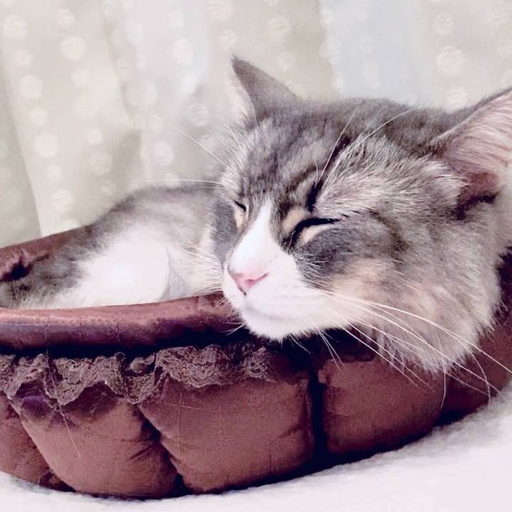 307ca483 1d0f 4e25 8a47 0b56c768c0f2 1600885532947