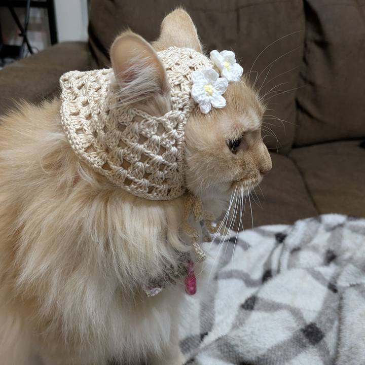 307cade7 3123 42cd b550 43bf459176f6 1773140864285