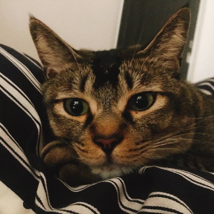 307cc203 e18c 4dd6 b46e 7b5b9efc9a39 1555884568608