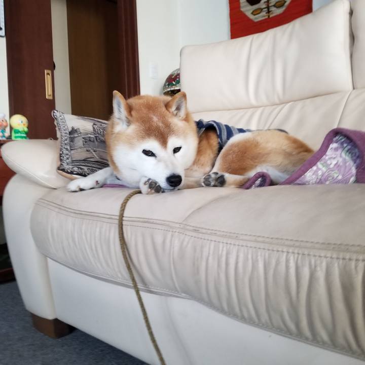 307cc818 cfdf 4a23 810c b922ef20f571 1675143706621