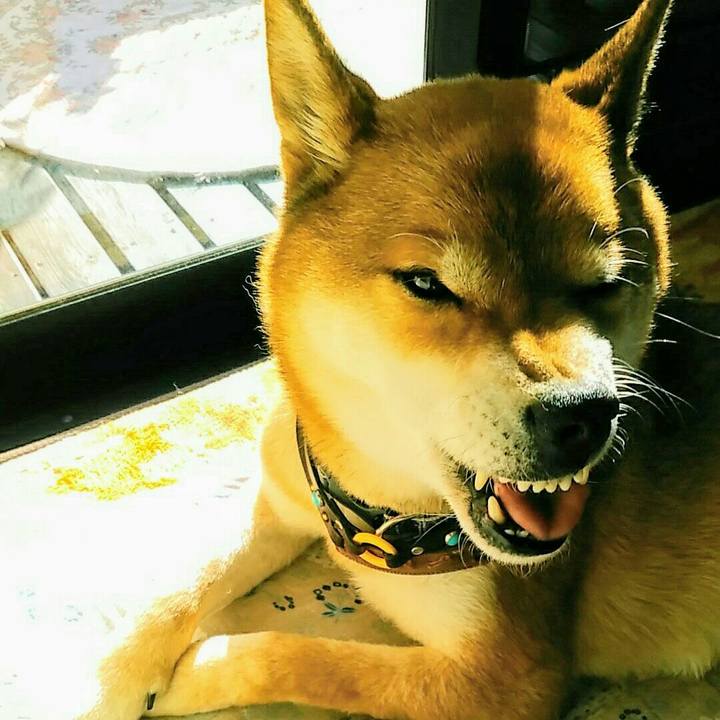 307cf57c d2a7 45dc a180 2482904d2695 1578633264406