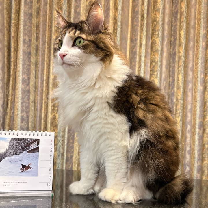 307d2654 8936 4298 b8e0 0b0991111d09 1767662331342