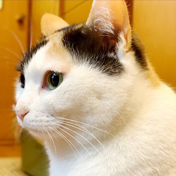 307d508a 9cac 4a34 a4fb bfeacb26e6d5 1550282906738