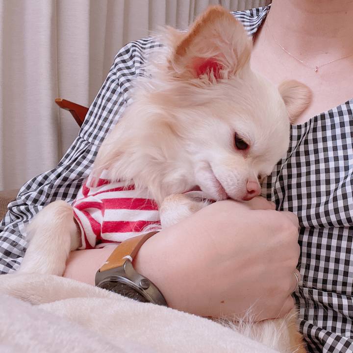 307d5249 aa7d 454e af5b 3bcbe0d8fc2b 1680071841283