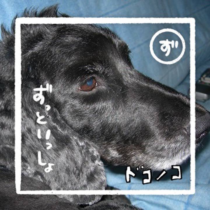 307d8ddc 2ee9 478d 9bbf 94490b1ced87 1686016451090