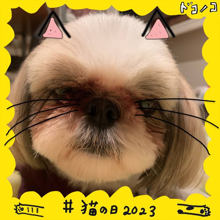 307dca2c d33d 4b24 8e0f ed8214f0f773 1677036736162