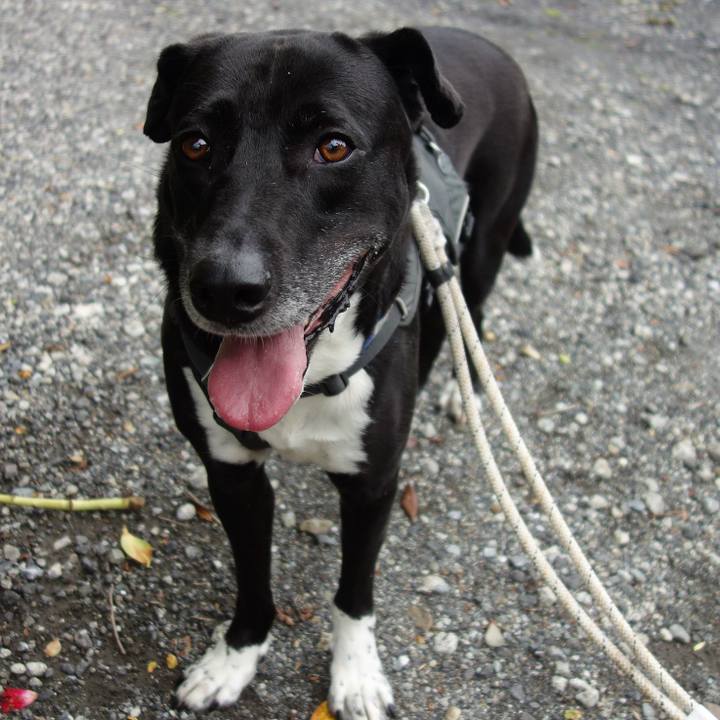 307dd01c 43cb 496f a0dc 8cc2bb30138a 1652575454112