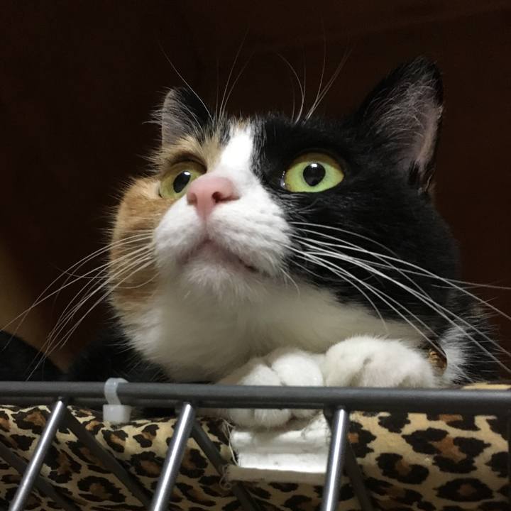 307e0d44 5428 45d1 a8d4 109d74f66219 1510055448556