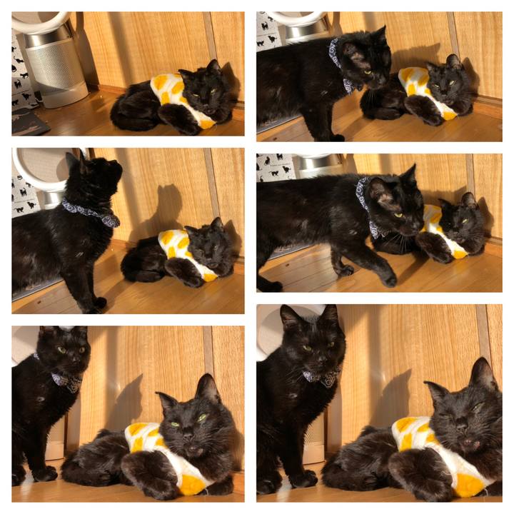 307e16f9 d29e 4954 b928 b7a40e14a2fe 1558042797225