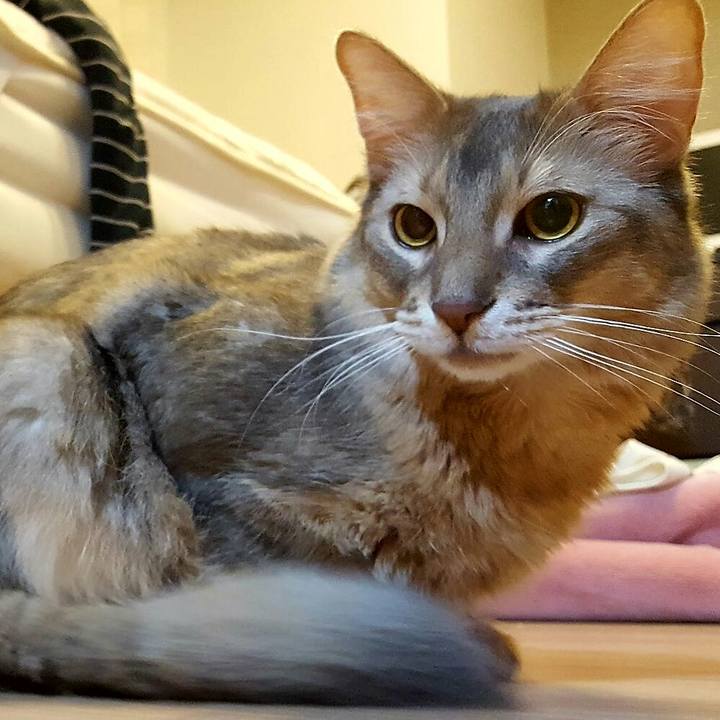 307e1975 0299 4712 85f4 54861884afff 1550494394502