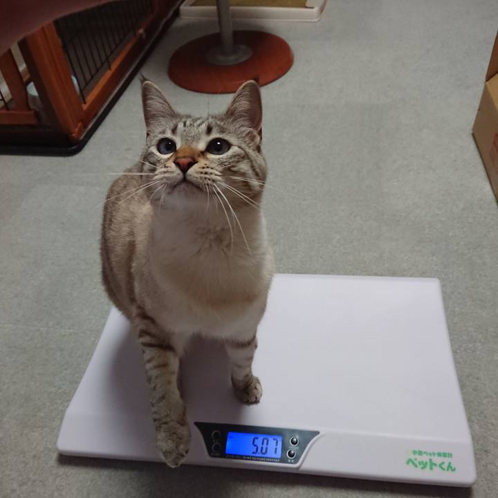 307e3ac9 96d8 408b a1b0 eb88e1d8fa34 1522243852343