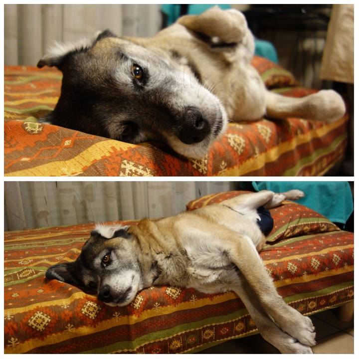 307e3de6 3a83 4222 8c97 3b5e8b737909 1628638274917