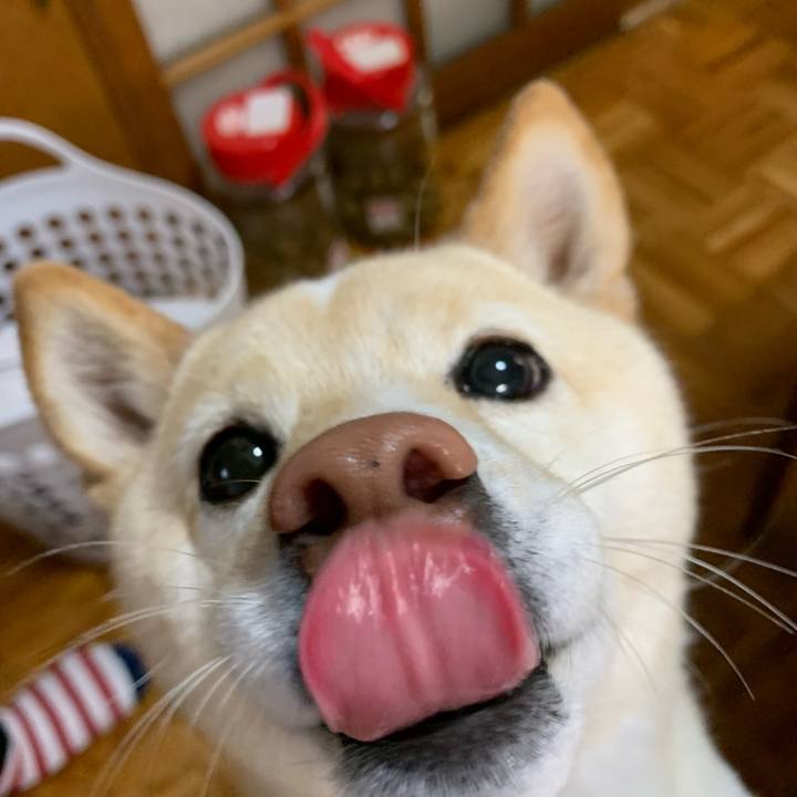 307e901c df49 4123 b669 b1ef7c4abb1b 1651619964428