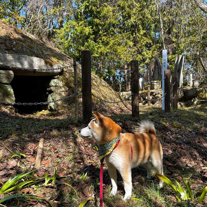 307ebd2c dfb5 47c3 9cc1 22445c3dc553 1772450257071