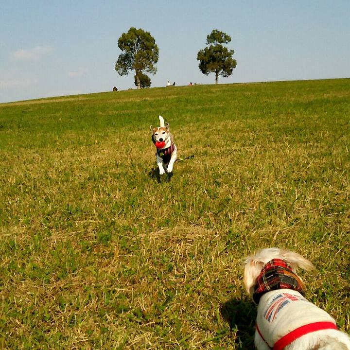 307edc1d 27da 46d6 9cd2 c218df1740e1 1509861344063