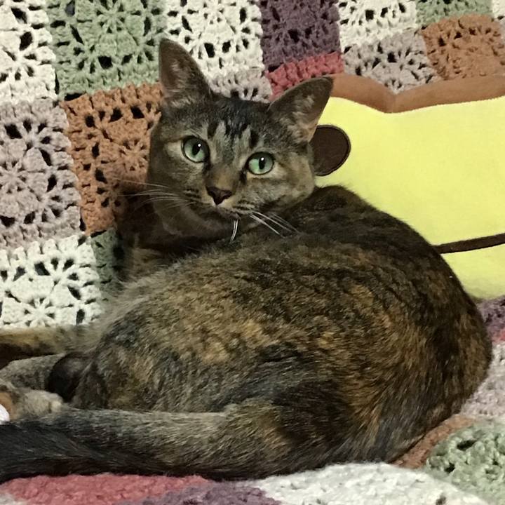 307f1516 7e42 4898 a9e6 1d19d8e21dca 1722678974111