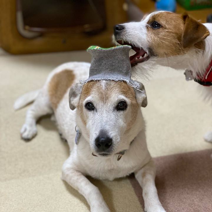 307f1c6e 7aab 4c21 b57e 644ceb60921e 1644746314071