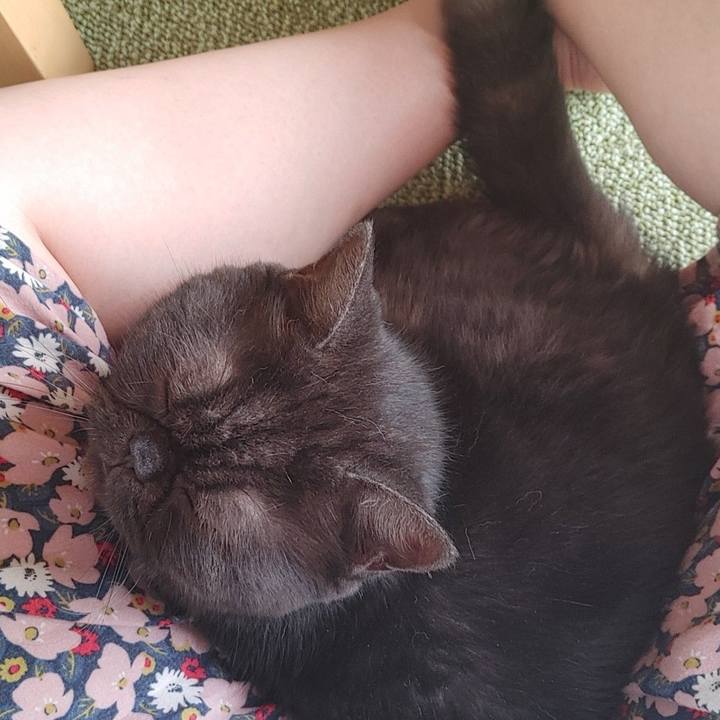 307f61c2 8e13 46ef bfe0 7ba81439f064 1627433215435