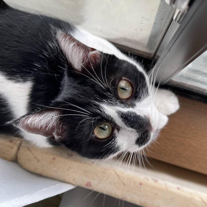 307f708b d934 4224 8765 937f5c1f37b5 1760845758185