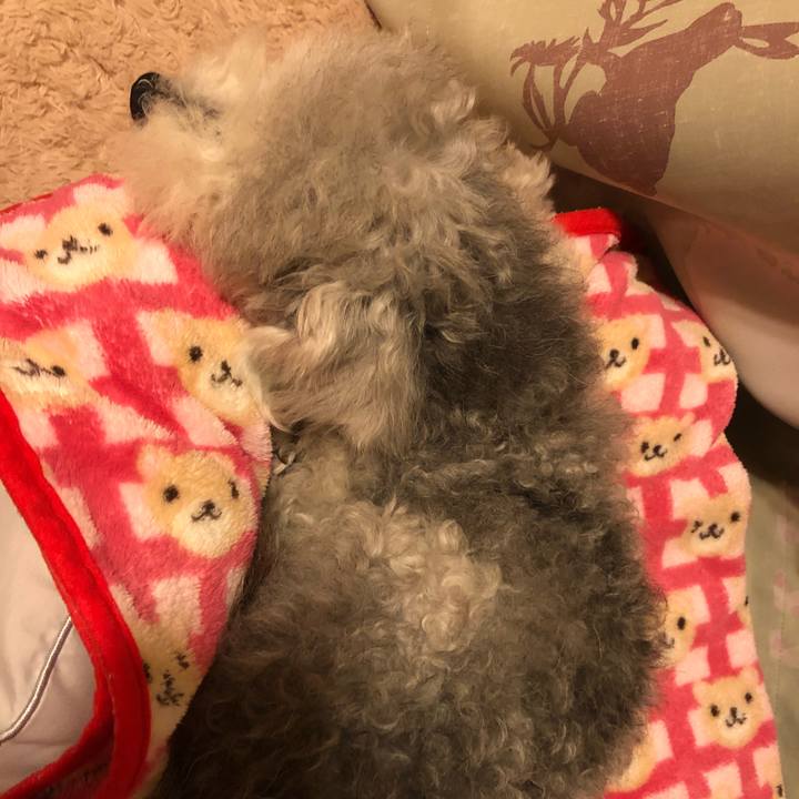 308003cf 30f7 496e a338 5067f85eae8e 1658189057741