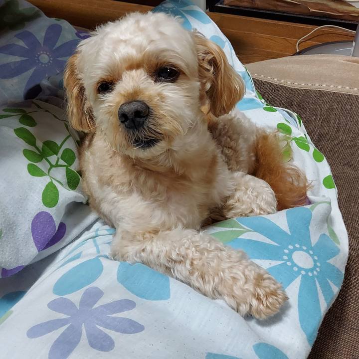 30802d0a 60d3 43fe 8a91 10655112231a 1628937540408