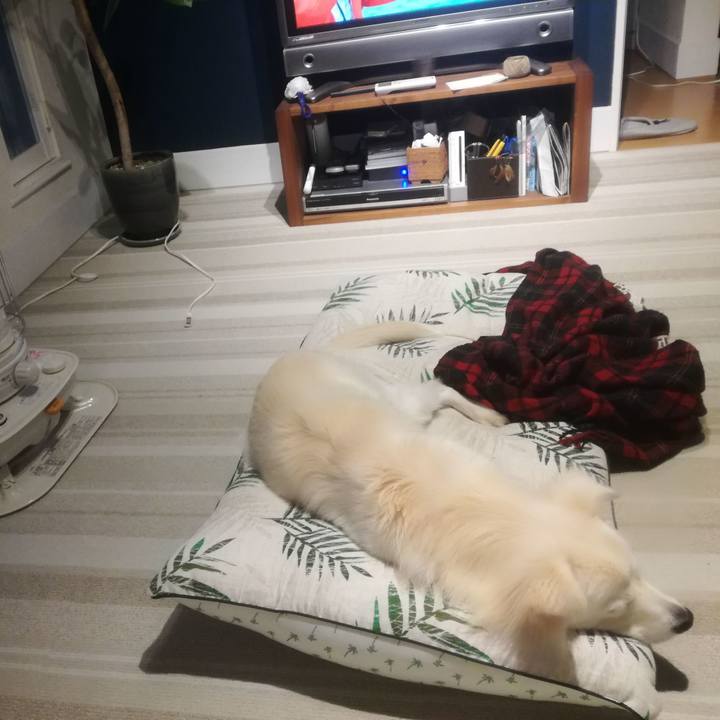 30805a01 8ec0 4ebe 82c6 3bfaa678aa20 1510734210607