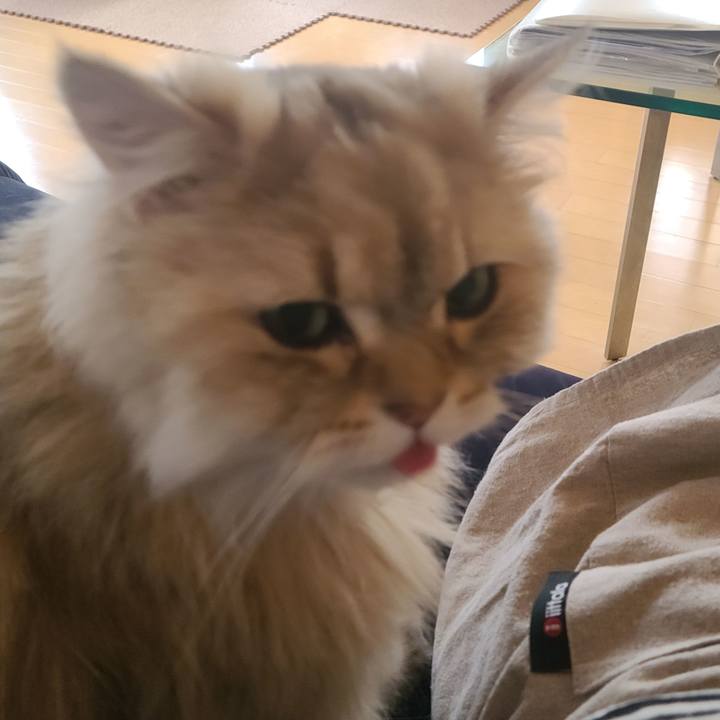 30805f94 b30b 4e8d a454 10115eb88be6 1653035286610