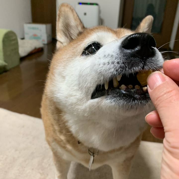 30807ceb 2ae4 4b9d bff5 6c5f26785406 1577536879084