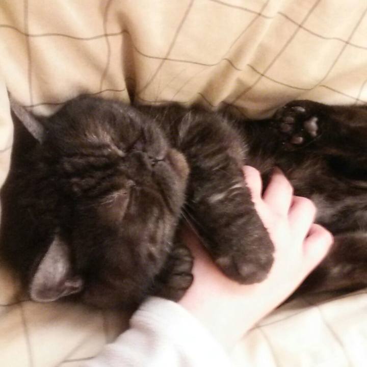 30808cb5 50a5 43be a713 d784500a000e 1516694054949