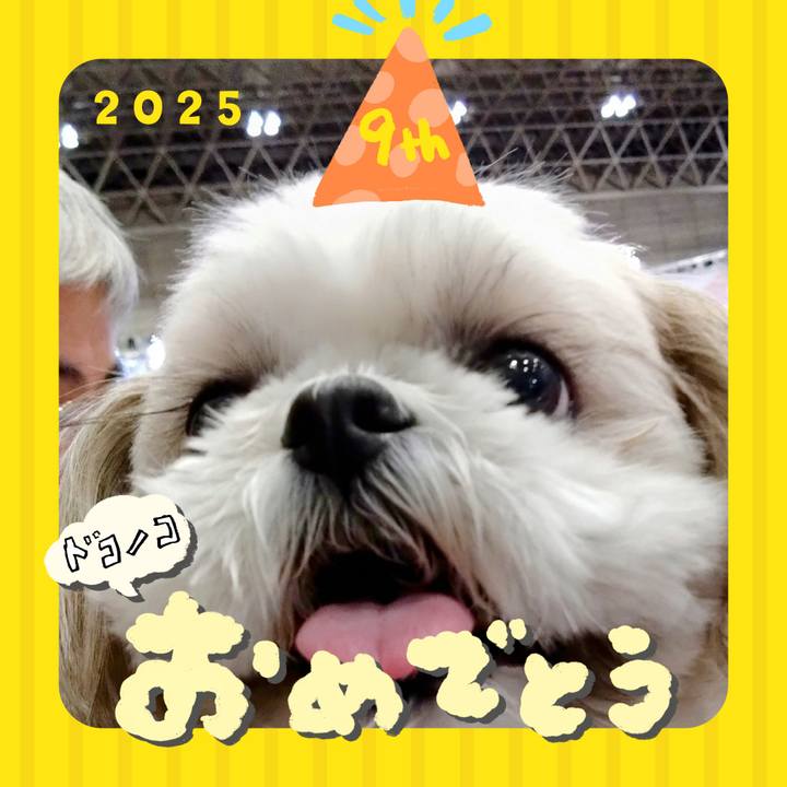 3080d41a e40e 4532 b330 d3a0b7cddf3c 1749280643440