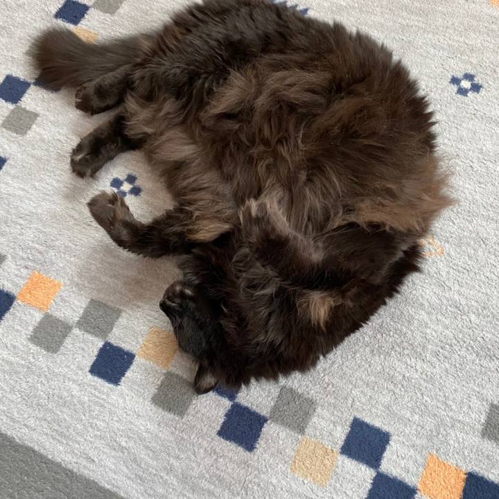 3080d69d c229 4d4f 9862 cd3e626afffe 1612971579986