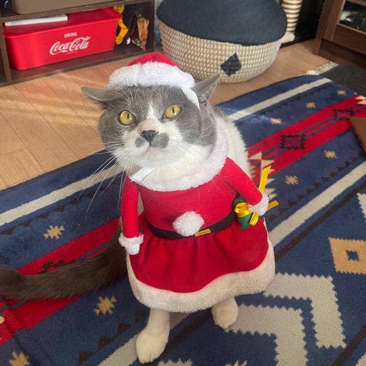 30811164 23b3 4e64 9256 88cfa7f68a59 1671860624765