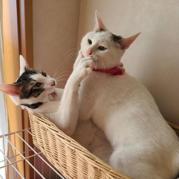 3081906f 970d 44c2 8161 2be4aa48a63b 1636158413473