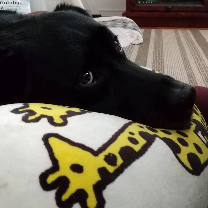 30819c23 1e11 46d6 81dc 217aa0bfb7ee 1691805977387