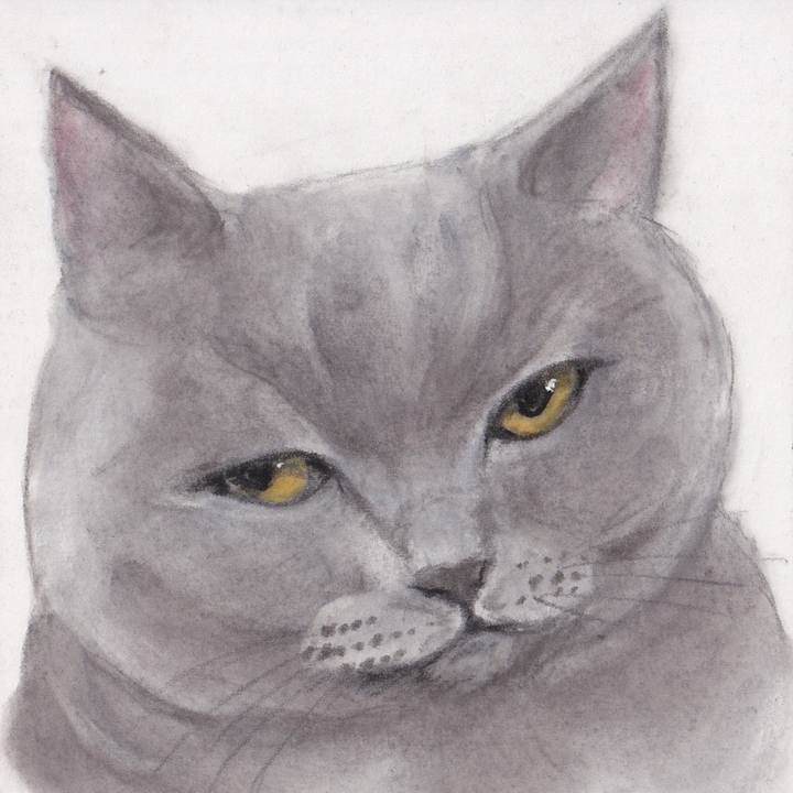 3081a165 d15a 415f 9bf1 00aa0ab7282e 1746924737182