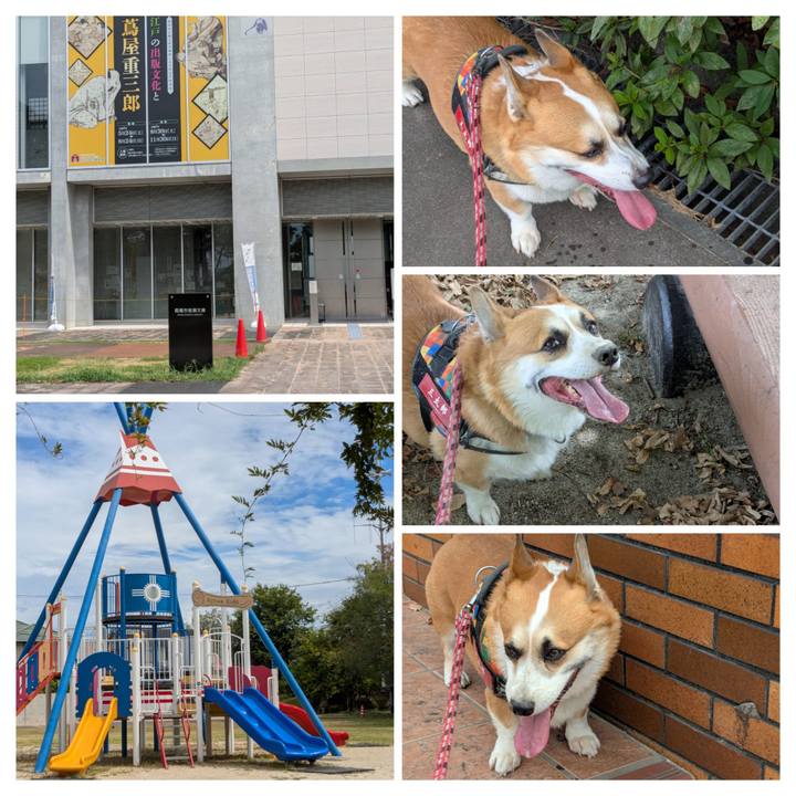 3081fa7b d050 4989 960e 57f9b67cd34f 1757635595772